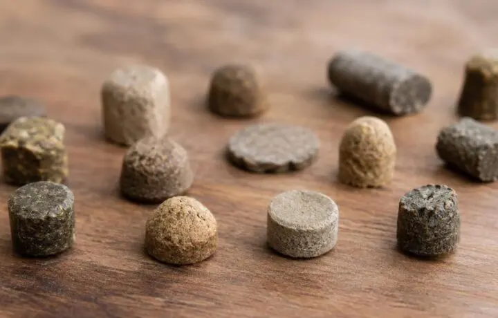 Air Gun Pellet Weights and Shapes Explained