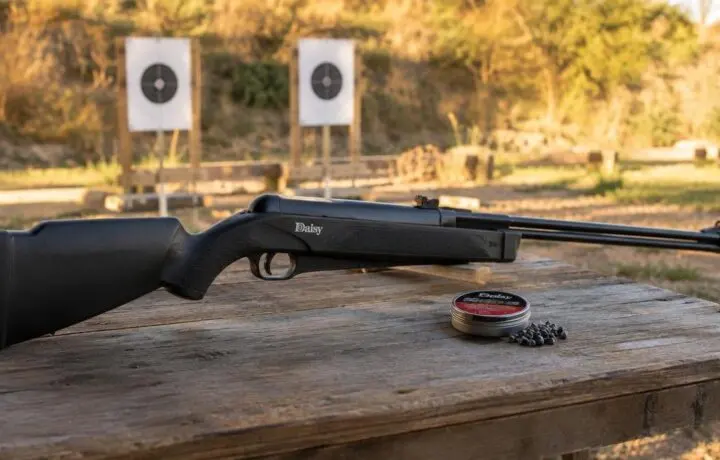 Best Pellet Guns for Beginners