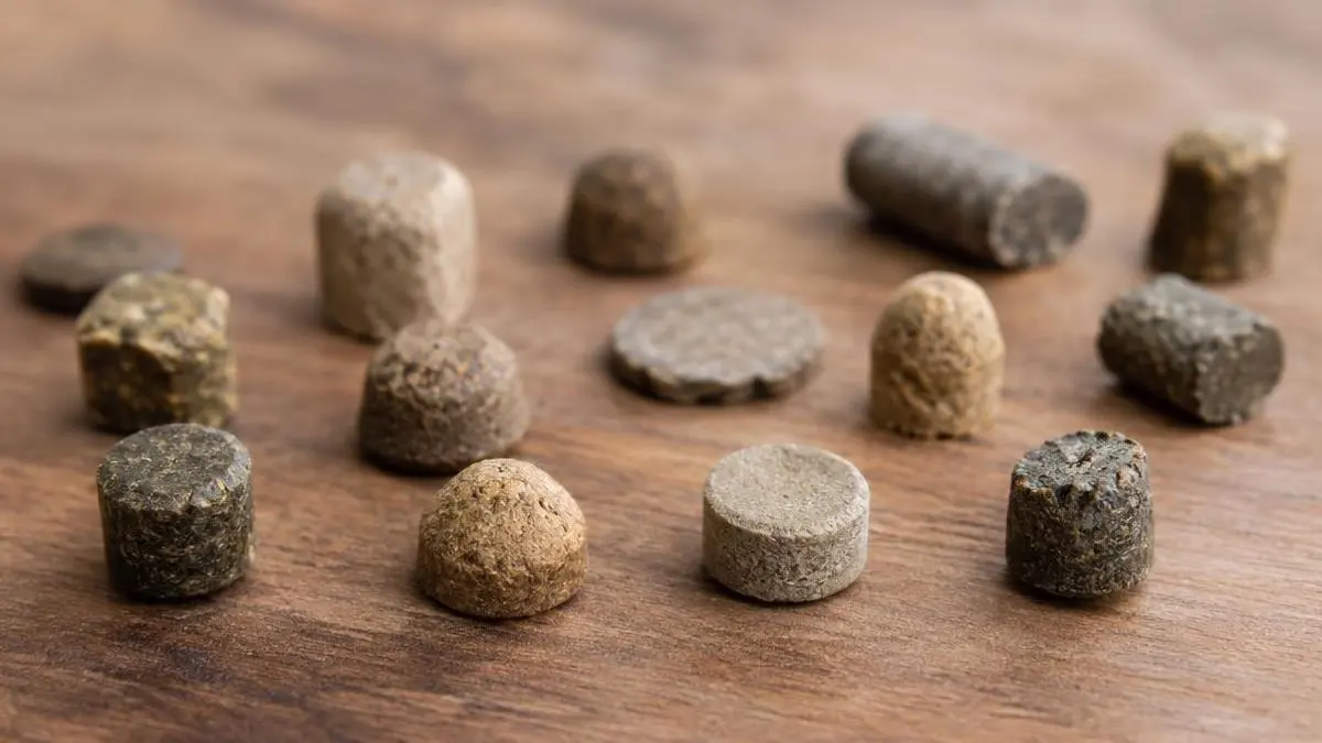 Air Gun Pellet Weights and Shapes Explained